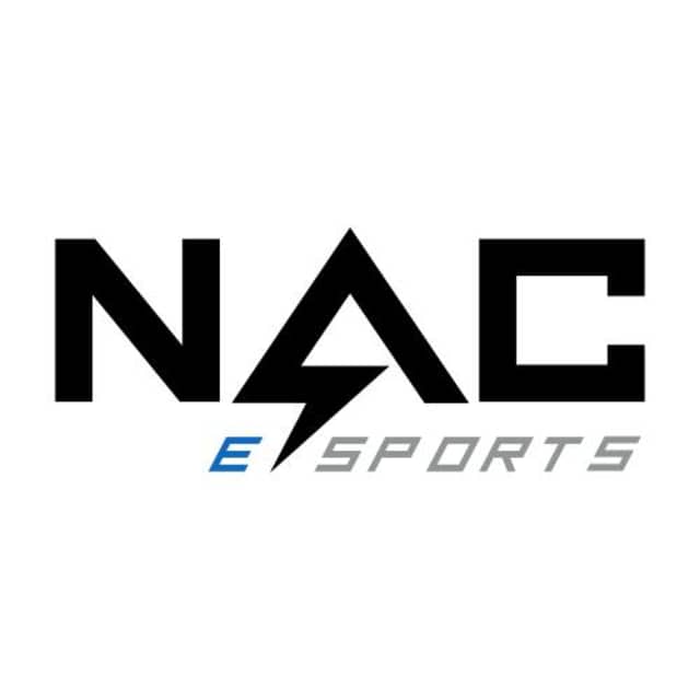 NACE Internship Program
